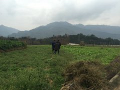 风水宝地，风水大师王君植带成都弟子四川看风水案例笔记