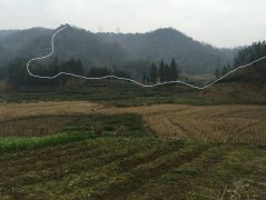 四川坟墓风水名地，王君植大师考察雅安人人称道下山蛇形串珠脉