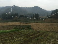 四川坟墓风水名地，王君植大师考察雅安人人称道下山蛇形串珠脉