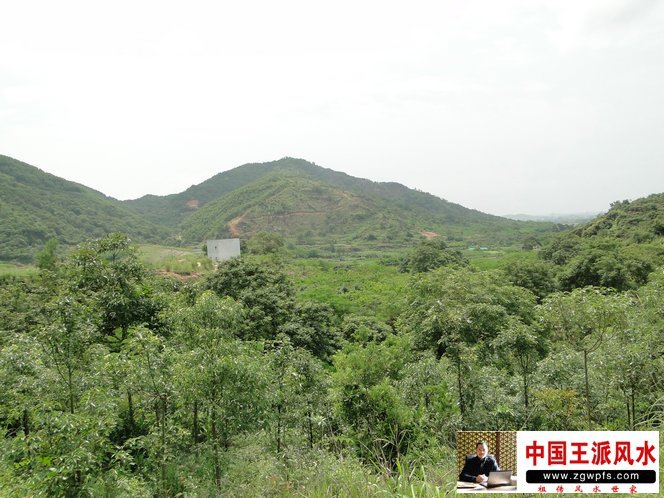 潮州催官风水宝地-卧牛穴