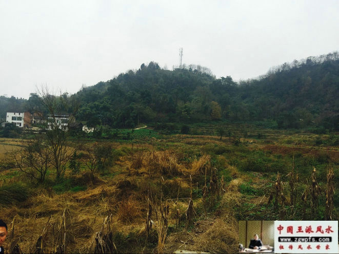 重庆风水宝地大富贵穴视频(风水大师王君植寻龙足迹)