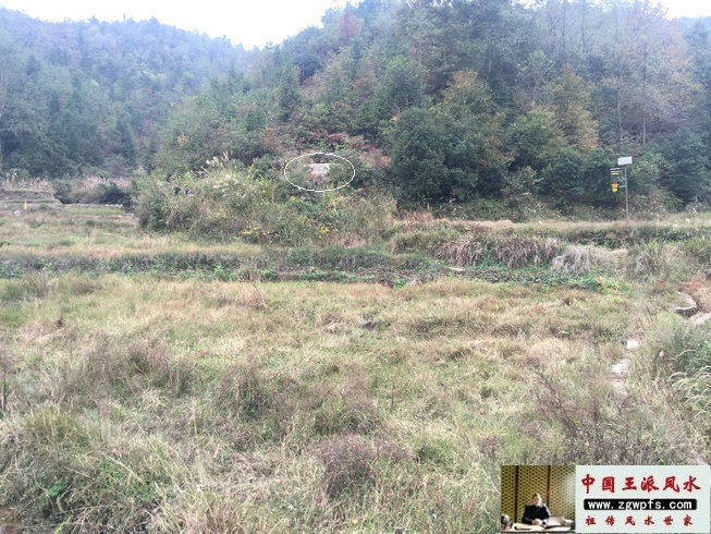 不懂杨公风水乱点龙穴连伤二命,王君植老师带弟子现场