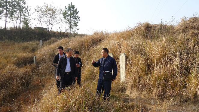 现场考察发凶坟墓风水,用灾煞日课修坟,三个月后主家发凶,惨遭大祸