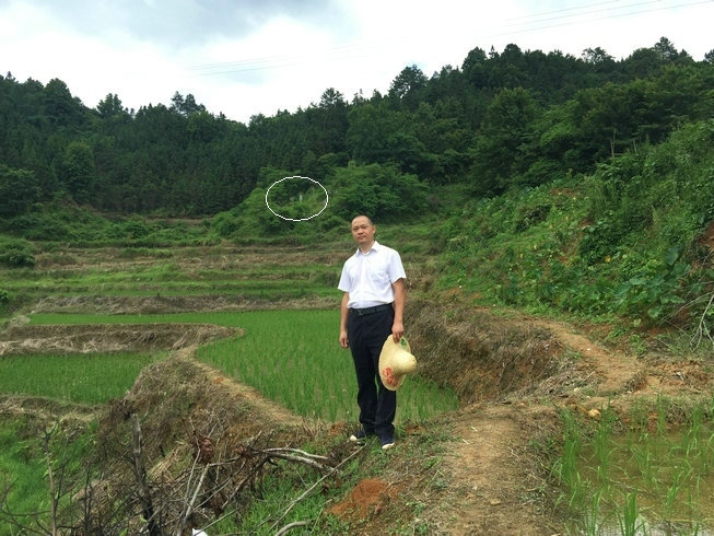 主页 王派风水 王君植寻龙点脉案例            2019