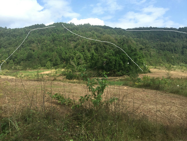 风水大师成都看风水实拍,这就是葬祖坟风水出官贵的风水宝地